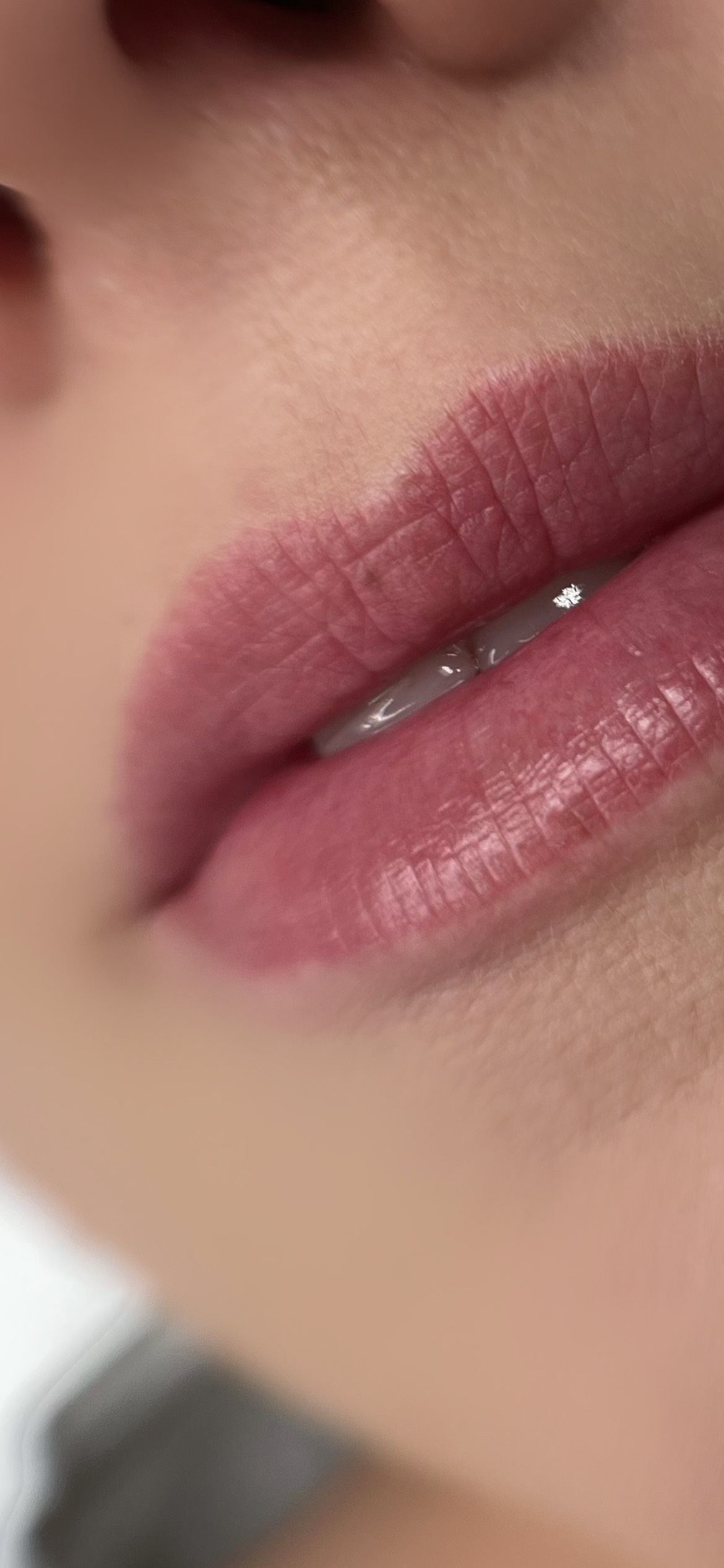 Permanent Make-up – Lippen Beispiel 1